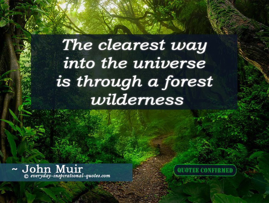 The Clearest Way Into The Universe Is Through A Forest Wilderness